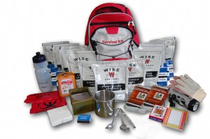 Survival bag